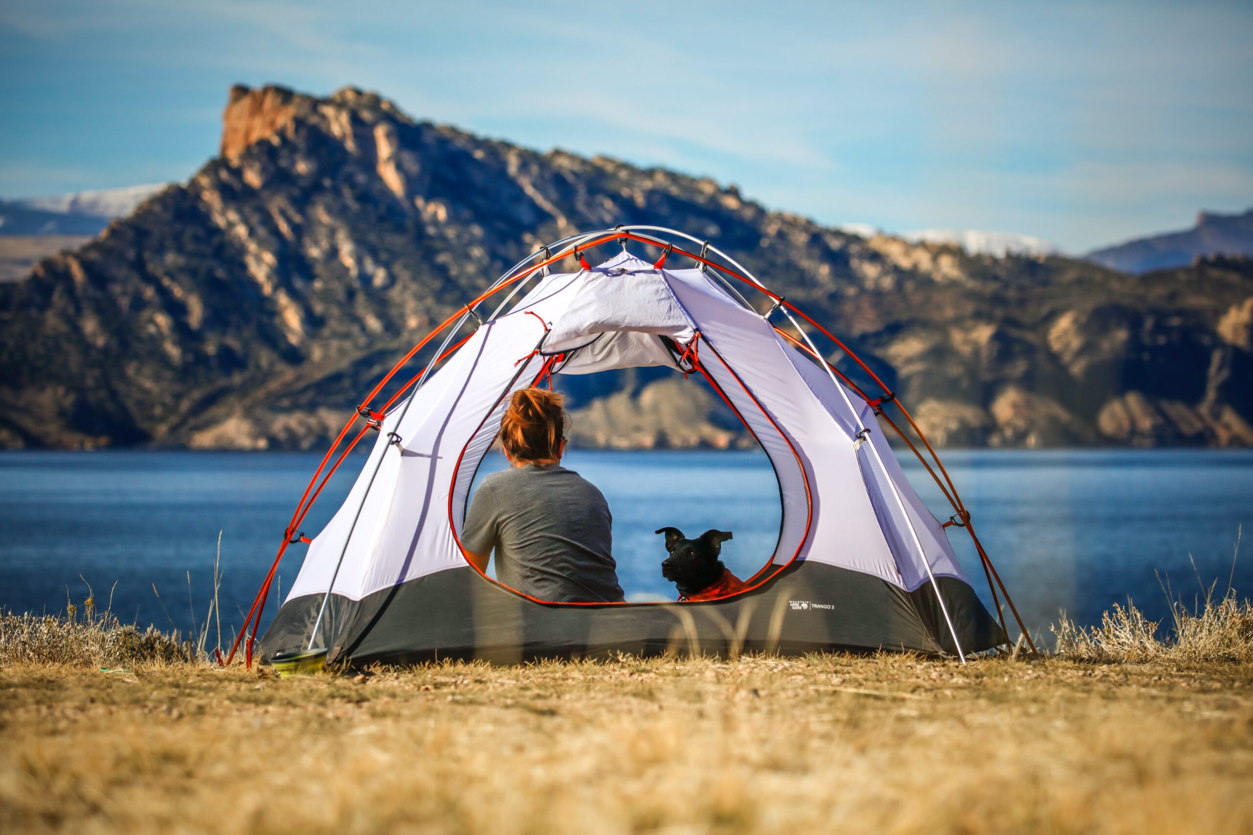 Vet Tips For Camping With Your Dog